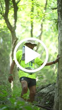 BIB:  <button type="button" onclick="openModal(27935240)" class="btn btn-primary btn-sm float-right" data-toggle="modal" data-target=".modal-high-quality">
                <i class="fa fa-download"></i> Download
                </button>